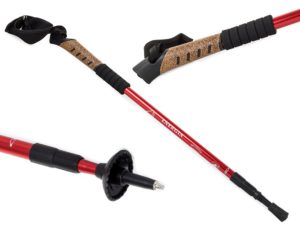Kije do Nordic Walking z korkową rączką