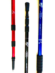 Kije do Nordic Walking z korkową rączką - obrazek 2